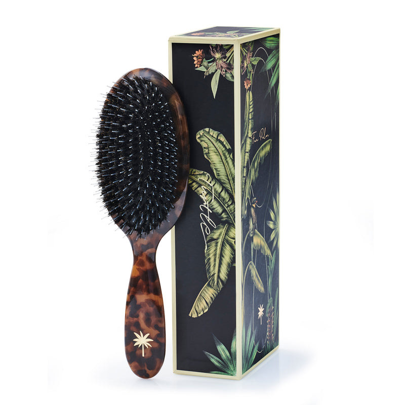 Turtle Hair Brush Medium