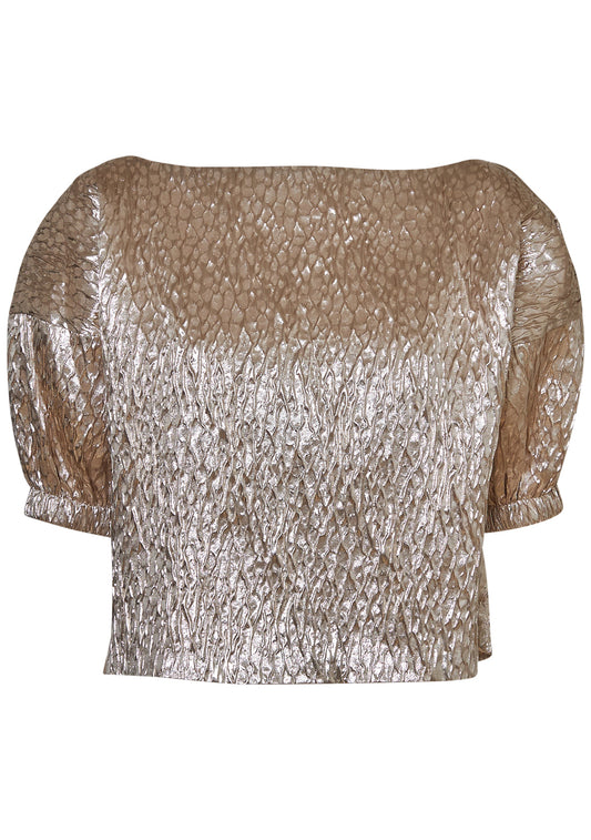 Filly Top Champagne