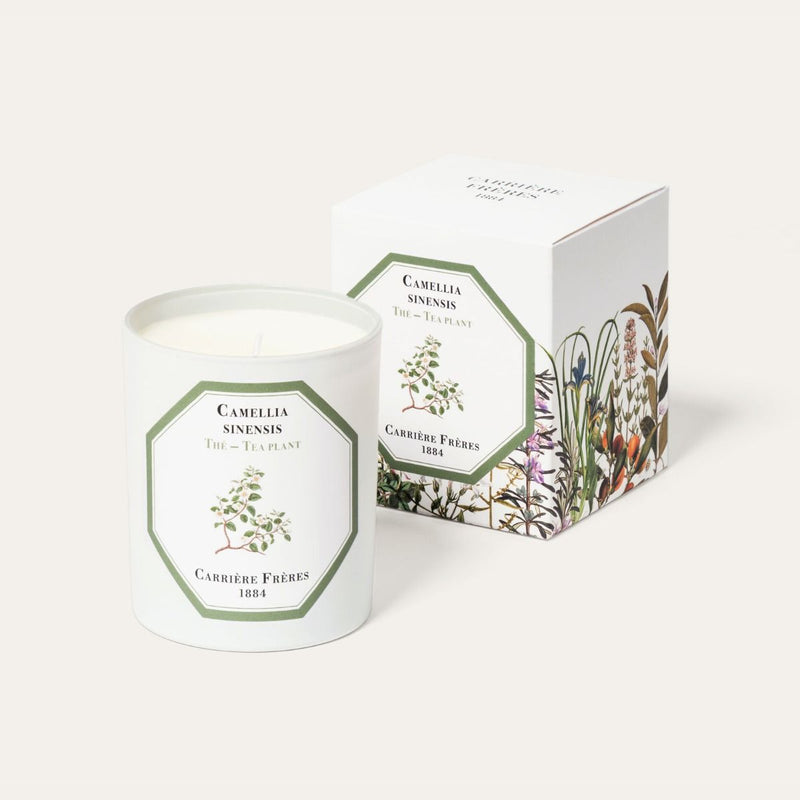 Tea Plant Scented Candle